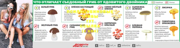 гидропоника Бородино